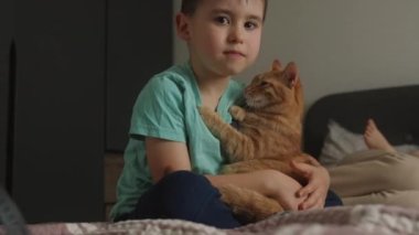 Genç ve neşeli bir çocuk sabahları yatakta kızıl bir kediyle oynuyor. Mutlu, neşeli bir aile. Ev hayatı işte. Hayvan bakımı. Evcil kedi..
