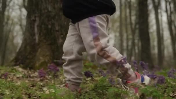 Małe Dziewczynki Nogi Tenisówkach Spacerujących Lesie Kolorowymi Jesiennymi Liśćmi Dywanu — Wideo stockowe