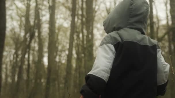 Widok Tyłu Dziewczynki Bratem Kobietą Spacerujących Lesie Podróż Dziećmi Jesienny — Wideo stockowe