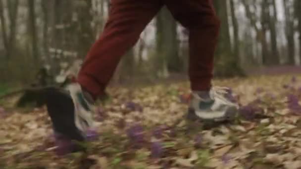 Zamknij Małe Nogi Chłopców Biegających Jesiennym Lesie Wycieczce Kempingowej Zdrowy — Wideo stockowe