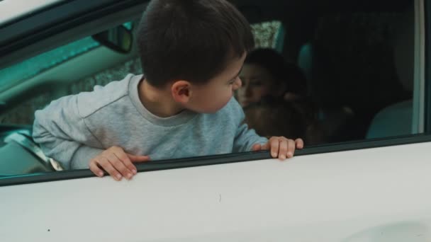 Çocuk Haftasonu Araba Yolculuğunu Beyaz Renkli Modern Aile Arabasından Izlemekten — Stok video