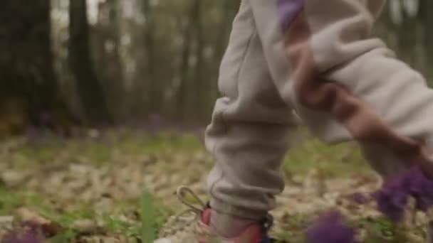 Dziecięce Stopy Butach Spacerujących Lub Podróżujących Przyrodzie Jesiennym Lesie Koncepcja — Wideo stockowe