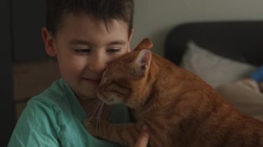Zencefilli kedi evcil hayvanını tutan mutlu çocuk, pofuduk arkadaşını okşayan, sabahları yatakta oturan kedi yavrusunu kucaklayan çocuk. Evcil kedi. Hayvan bakımı. Güzel kedicik..