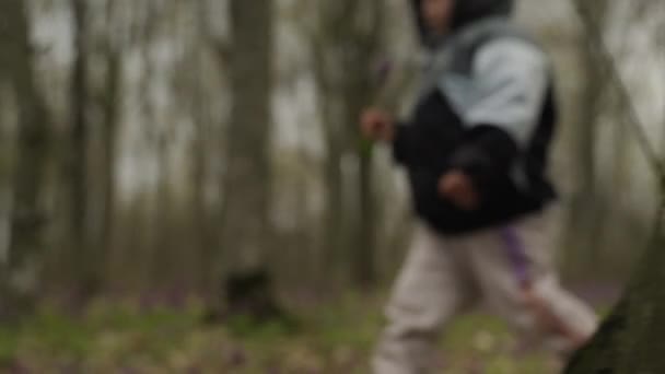 Widok Bliska Małe Nóżki Spacerujące Lesie Podczas Wycieczki Aktywna Rodzina — Wideo stockowe
