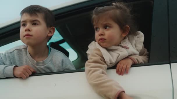 Двое Очаровательных Детей Выглядывая Окна Машины Глядя Пейзаж Сидят Машине — стоковое видео