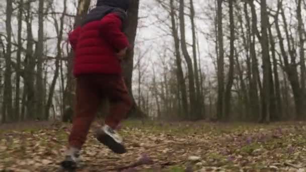 Wesoły Chłopiec Bawiący Się Biegnąc Przez Jesienny Las Aktywny Czas — Wideo stockowe