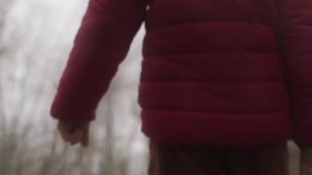 Mały Chłopiec Spacerujący Samotnie Jesiennym Lesie Widok Tyłu Historia Przygody — Wideo stockowe