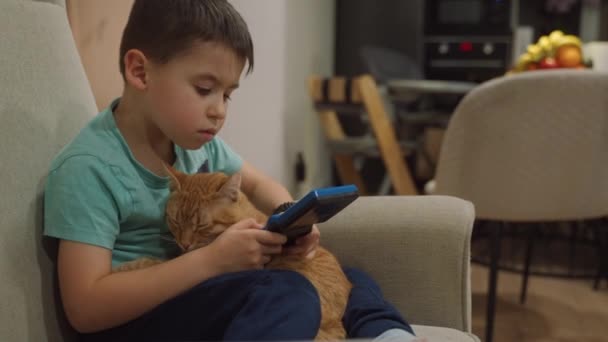 Menino Pré Escolar Sentado Com Gato Sofá Sala Estar Jogando — Vídeo de Stock