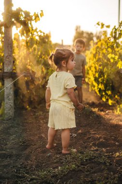 Kafkas erkek kardeşi, küçük kız kardeşiyle üzüm topluyor. Doğa Ana. Mutlu aile.