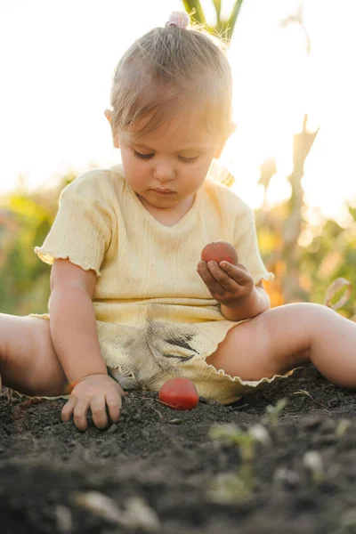 Bebek Taze Toplanmış Sebzelerle Yerde Oynuyor Sonbahar Titreşimleri Güzel Bir — Stok fotoğraf