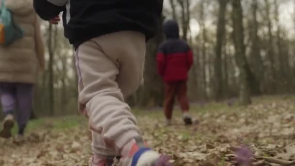 Millenijna Rodzina Kaukaska Podróżująca Zimnym Lesie Ciesząca Się Wspólną Przygodą — Wideo stockowe