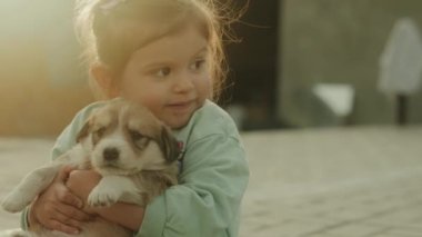 Zevkten gülümseyen, küçük bir bebek köpek taşıyan, şefkatli duygularını ifade eden tatlı bir kız bebek. Köpekli bir çocuk. Tasasız çocukluk. Evcil hayvan.