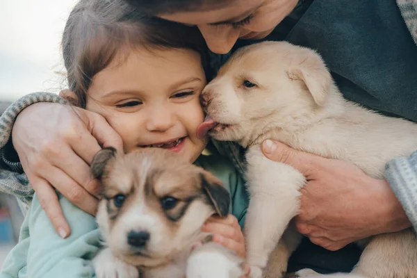 Мама Сидить Подвір Обіймаючи Маленьку Доньку Яка Пестить Собаку Прекрасний — стокове фото