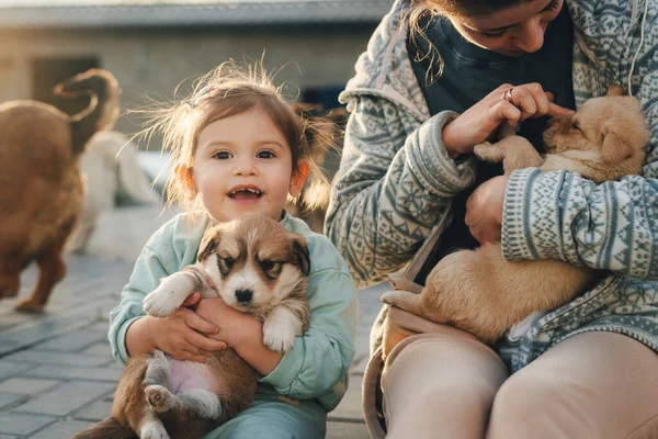 Hübsches Kleines Mädchen Mit Kleinem Hund Freien Daneben Sitzt Ihre — Stockfoto