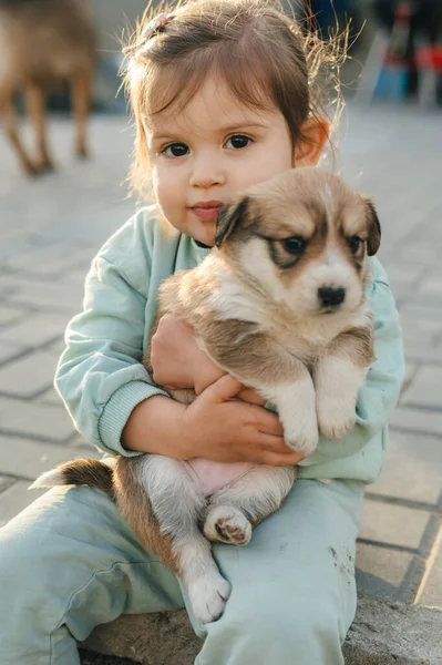 Bonitinho Adorável Filhote Cachorro Colo Dono Menina Livre Quintal Dia — Fotografia de Stock