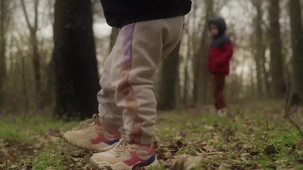 Tylny Widok Rodziny Spaceru Wzdłuż Jesiennego Lasu Razem Nogi Dziewczynki — Wideo stockowe