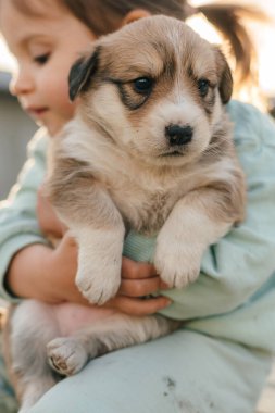 Mutlu bebek kucaklaşması ve köpek kapaklarıyla oynarken çekilmiş komik bir fotoğraf. Aile yaşam tarzı, çocukların olumlu duyguları yaz tatilinde evcil hayvanlarla eğlenceli oyunlar.