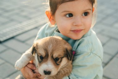 Kasasyalı küçük kız elinde şirin bir köpek yavrusu tutuyor, başka tarafa bakıyor. Evsiz küçük köpek dışarıda. Bir hayvanın kırılganlığı hakkında.