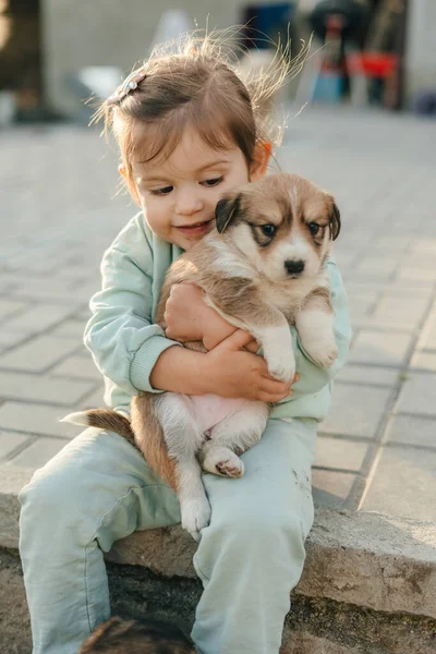 Menina Criança Brincando Com Filhote Cachorro Pequeno Bonito Jardim Verão — Fotografia de Stock