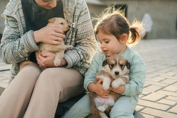 Famiglia Felice Madre Figlia Rilassante Condivisione Momento Amore Accarezzare Cuccioli — Foto Stock
