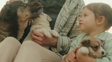 Şirin küçük kız ve annesi dışarıda köpek yavrularına sarılıyorlar. Arkadaşlık ve bakım kavramı