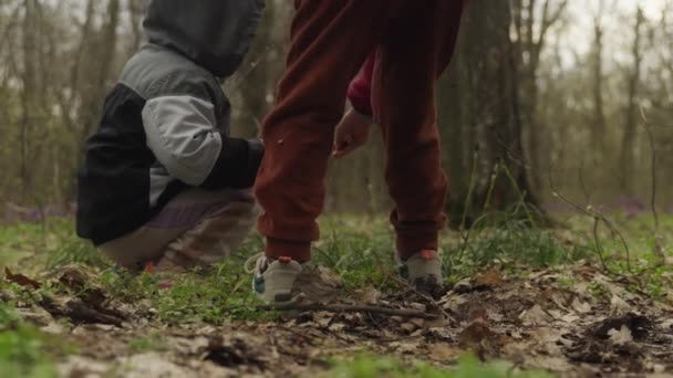 Dwoje Małych Dzieci Zbierających Dzikie Kwiaty Jesiennym Lesie Spędzających Ciepły — Wideo stockowe