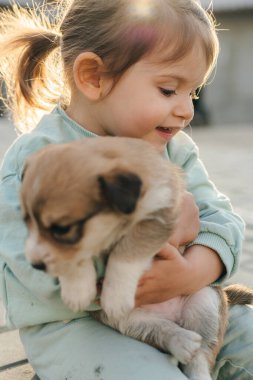 Çocuk ve bebek köpek güneşli yaz bahçesinde oynuyorlar. Kucağında köpek yavruları tutan küçük kız. Evcil hayvanı olan çocuk.