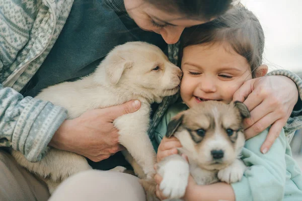 Zbliżenie Portret Młodej Pięknej Matki Dzieckiem Przytulającym Psy Zewnątrz Parku — Zdjęcie stockowe