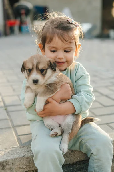 Pequena Menina Criança Segurando Filhote Cachorro Doméstico Livre Verão Criança — Fotografia de Stock