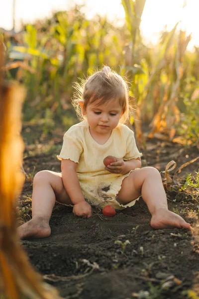 Küçük Kız Sonbahar Bahçesinde Tohum Ekerken Eğleniyor Etkinlik Oyun — Stok fotoğraf