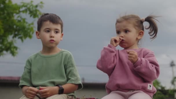 孩子们 一个男孩和一个女孩在他们夏天的花园里吃樱桃 健康饮食 — 图库视频影像