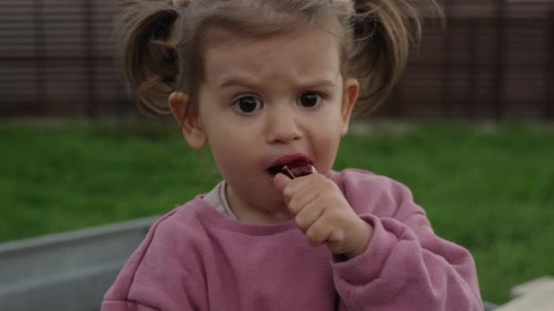 Jolie Petite Fille Heureuse Avec Des Cerises Assis Extérieur Près — Video