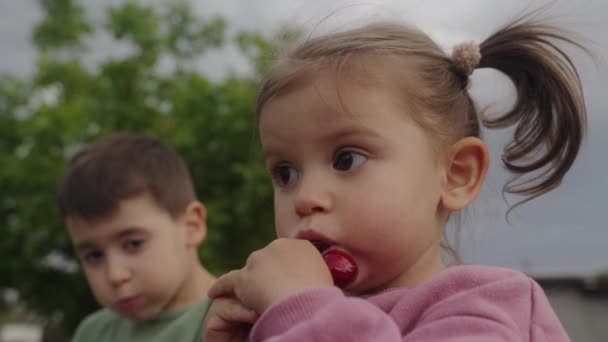 Μικρός Αδερφός Και Αδελφή Τρώνε Γλυκό Κεράσι Έξω Στον Κήπο — Αρχείο Βίντεο