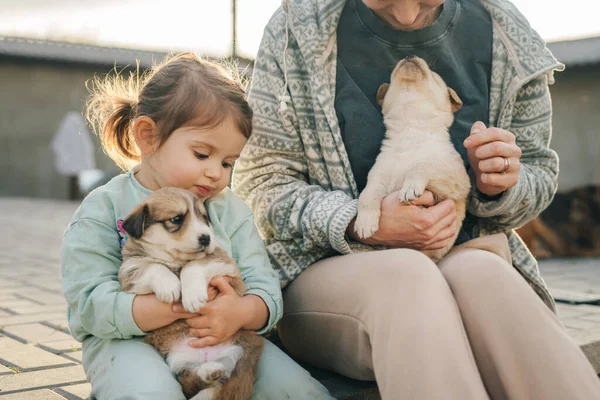 Carino Bambina Abiti Casual Abbracciare Cane Carino Mentre Seduto Sul — Foto Stock