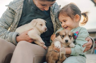 Kanepede oturan ve tatlı köpekle oynayan sıradan giysili tatlı küçük kız.
