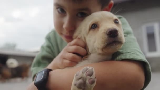 Niño Jugando Con Encantador Cachorro Blanco Mientras Mira Cámara Aire — Vídeos de Stock