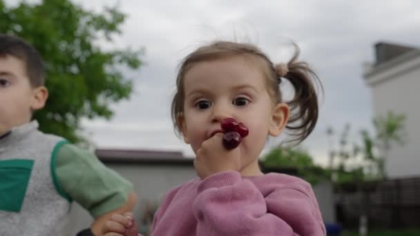 Retrato Una Niña Encantadora Comiendo Cerezas Afuera Con Hermano Casa — Vídeos de Stock