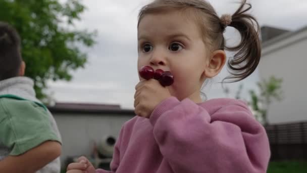 Pushi Στη Σκηνή Ενός Χαριτωμένου Μικρού Κοριτσιού Τρώει Ceries Outisde — Αρχείο Βίντεο
