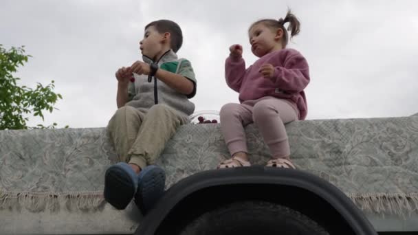Tamaño Completo Dos Niños Encantadores Hermano Hermana Sentados Comiendo Cerezas — Vídeos de Stock