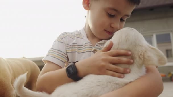 Feche Perto Menino Adorável Brincando Abraçando Seus Filhotes Fora Casa — Vídeo de Stock