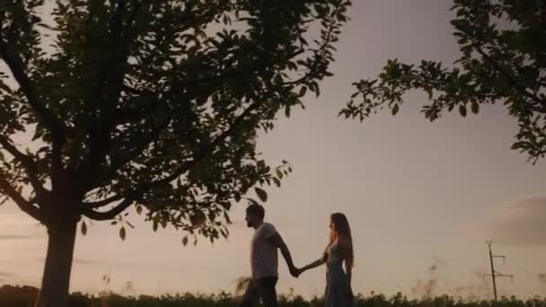 Vue Latérale Beau Couple Marchant Contre Coucher Soleil Dans Nature — Video