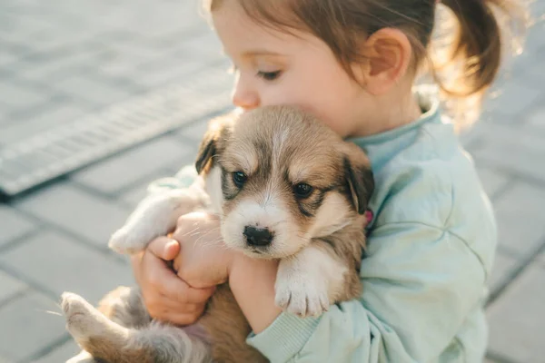 Χαριτωμένο Κοριτσάκι Casual Ρούχα Αγκαλιάζει Χαριτωμένο Σκυλί Ενώ Περνούν Χρόνο — Φωτογραφία Αρχείου