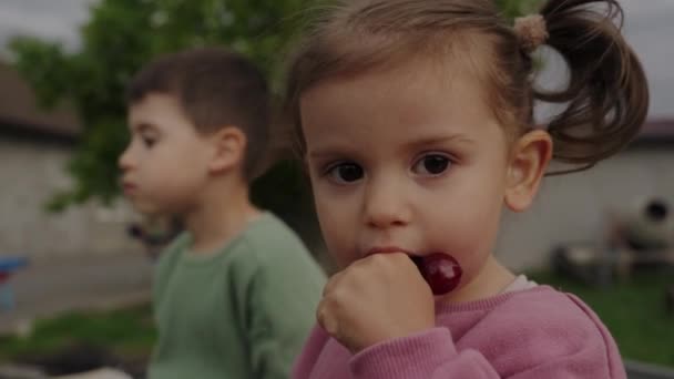 Niños Felices Niña Niño Hermano Hermana Comiendo Bayas Cereza Dulce — Vídeos de Stock