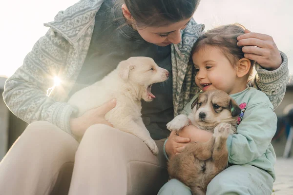 Dall Alto Della Giovane Donna Abiti Casual Abbracciando Cane Adorabile — Foto Stock