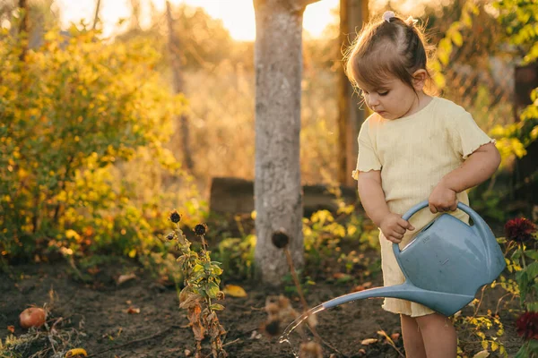 Kleines Mädchen Gießt Blumen Garten Gegen Sonnenuntergang — Stockfoto