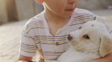 Sevimli çocuk gün batımına karşı dışarıda köpeğiyle oynuyor. Yüksek kalite 4k görüntü