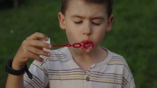 Mooie Jongen Doet Zeepballonnen Buiten Tuin Hoge Kwaliteit Beeldmateriaal — Stockvideo