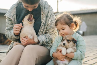 Evinin bahçesinde yavru köpekleri okşayan küçük kızıyla güzel ve mutlu bir anne. Rahatlatıcı. Sıcaklık tonları. Yüksek kalite fotoğraf