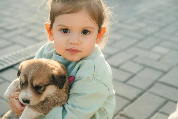 Fetiță Tânără Bucură Țină Câinele Brațe Uitându Cameră Conceptul Animal — Fotografie, imagine de stoc