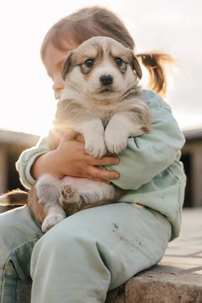 Caucasian Homey Little Girl Sitting Holding Her Beloved Dog Her — Stock Photo, Image